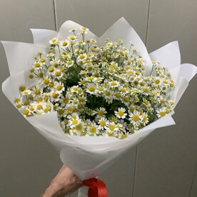 Ромашка шт, Упаковка шт