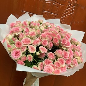 Роза кустовая шт, Упаковка шт