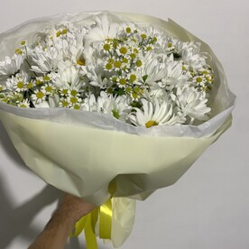Хризантема шт, Ромашка шт, Ромашка шт, Упаковка шт