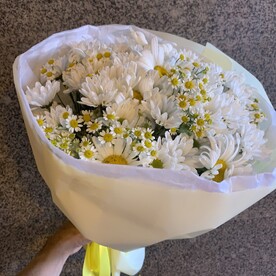Хризантема шт, Ромашка шт, Ромашка шт, Упаковка шт