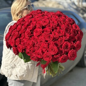 101 Роскошная красная Роза 70 см под ленту