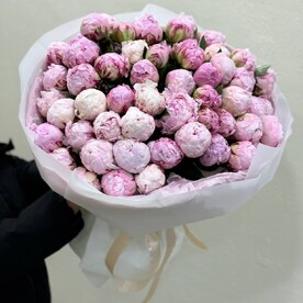 51 Розовый пион Сара Бернард с оформлением
