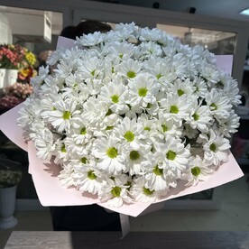 Букет ромашковых хризантем