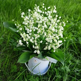 Ландыши