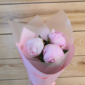 Пионовое трио