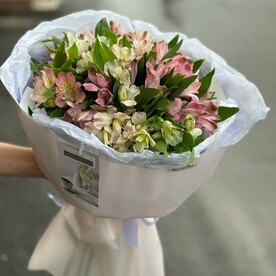 Монобукет из 19и нежных альстромерий