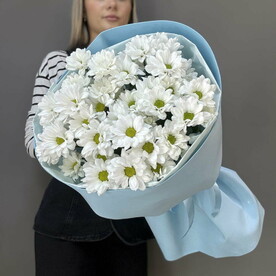Хризантема кустовая, Упаковка