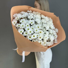 Букет из 15 веток кустовой Хризантемы