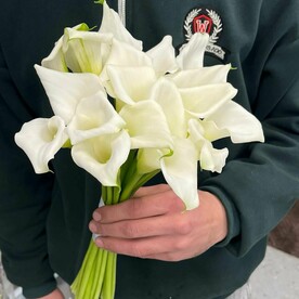 Каллы 19 шт