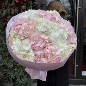 15 гортензий в букете