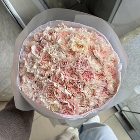 51 розовый диантус
