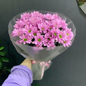 Розовые кустовые хризантемы