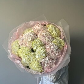 Гортензия, Дизайнерская упаковка