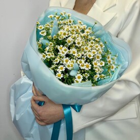 Ромашка кустовая с лагурусом в голубой упаковке