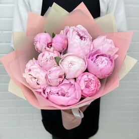 Пионы розовые 11 шт букет flowerstorg n98