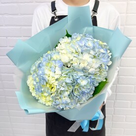 Гортензии голубые 3шт в букете flowerstorg n591
