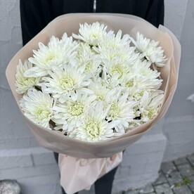 Букет из 9 кустовых хризантем