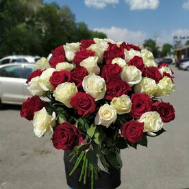 Головокружительный роман - букет из 51 розы (красных и белых) в ленте