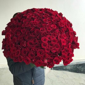 Букет из 201 розы красной в ленте