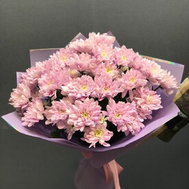 Прекрасный повод - букет из 5 хризантем кустовых в упаковке