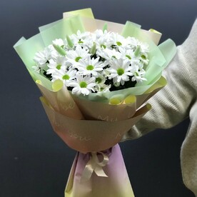 Потенциал весны - букет из 5 хризантем кустовых с лагурусом в упаковке