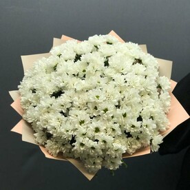 Бело-Снежная затея - букет из 23 хризантем кустовых в упаковке