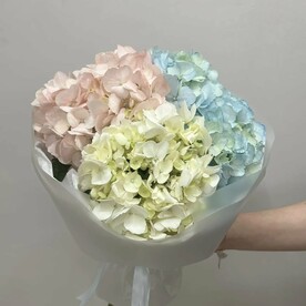 Букнт из разноцветных гортензий