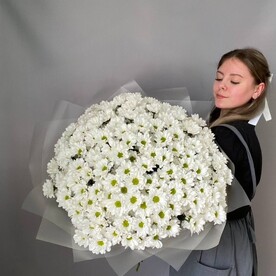Букет из 35 ромашковых хризантем