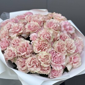 Роза французская, Дизайнерская упаковка