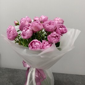 Преданность принцессе