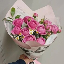 Без повода