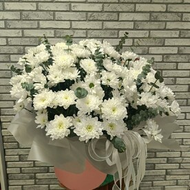 Ромашковое Поле