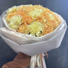 25 нежных диантусов