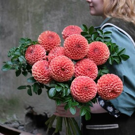 Апельсиновые георгины