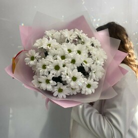 Хризантема кустовая, Пленка дизайнерская
