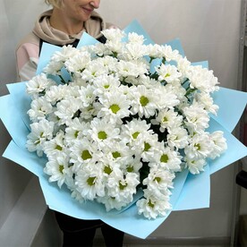 15 хризантем- ромашек