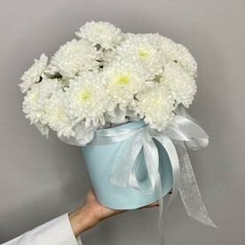 «Звездная колыбель» хризантемы в шляпной коробке