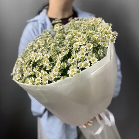 Танацетум шт, Авторская упаковка шт