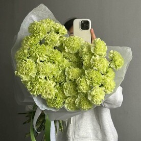 Нежный букет из зеленых гвоздик 51шт