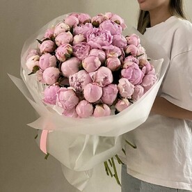 Букет из 51 розового пиона