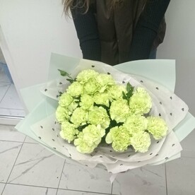 Букет из 21 зелёного диантуса