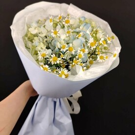 "воздушное облачко"