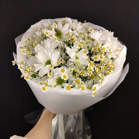 Танацетум, Хризантема кустовая, Тишью, Стильная упаковка
