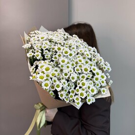 Хризантема сантини, Дизайнерская упаковка