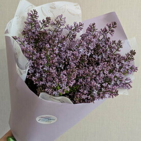 Букет сирени