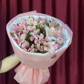 Розовая альстромерия