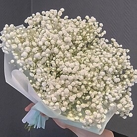 Букет из гипсофилы "ОБЛАКО"