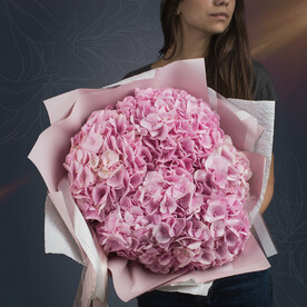 Классический букет из 5 розовых гортензий в матовой пленке от 2name Flowers