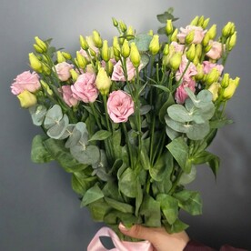 Розовая эустома