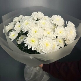 Моно букет из 7 белых Хризантем